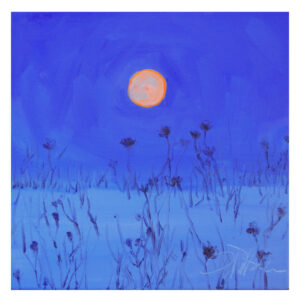 Winter night por Ilse Taylor